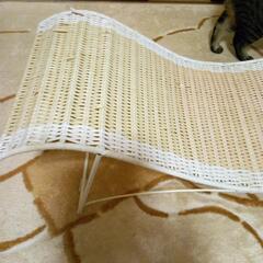 猫用ベッド如何でしょうか？の画像