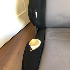 レカロsr3 の画像