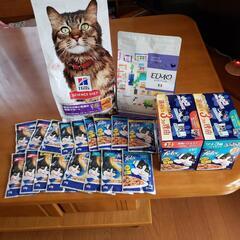 キャットフード