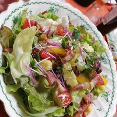 美味しい料理を食べながら雑談しませんか - 大田区