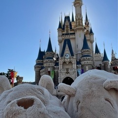 ディズニー行きませんか✨🏰🐭🖤