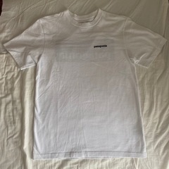 パタゴニア、adidasオリジナルス　Tシャツの画像