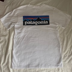 パタゴニア、adidasオリジナルス　Tシャツ