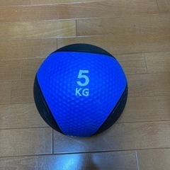 取引き中メディシンボール　5キロ