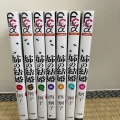 西炯子　姉の結婚　1〜7巻