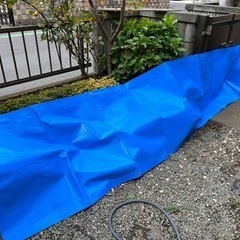 特別仕様の長形ブルーシート品番③ 806 x 3872 (mm)