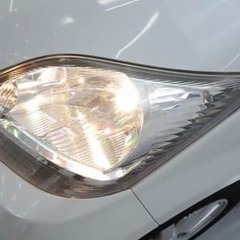 鋭い目が特徴なんです😆