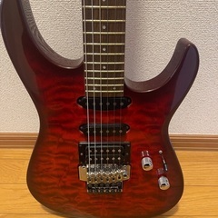 ギターFERNANDESの画像