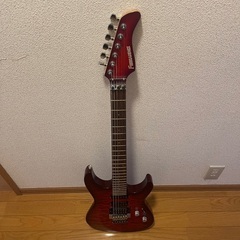 ギターFERNANDES