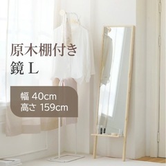 姿見 ミラー 全身ミラー スタンダードミラー 収納付き
