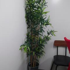 IKEA　人工観葉植物の画像