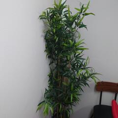 IKEA　人工観葉植物の画像