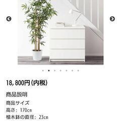 IKEA　人工観葉植物の画像