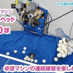 【貸切り卓球場】50球の練習球で連続練習！ 貸切り専用の芝公園卓球場プラス【夏練習にうれしい冷房完備】【入会金なし】の画像