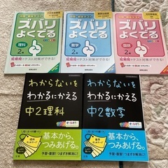 【タイムセール】美品　中学問題集、全１４冊の画像