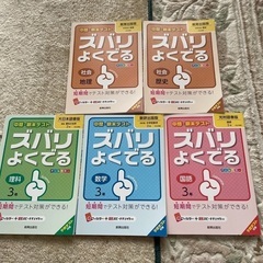 【タイムセール】美品　中学問題集、全１４冊の画像