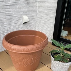 プラスチック鉢の画像