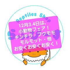 小動物フェア