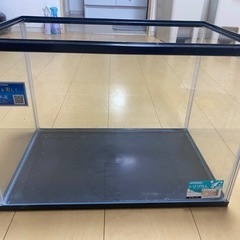 水槽