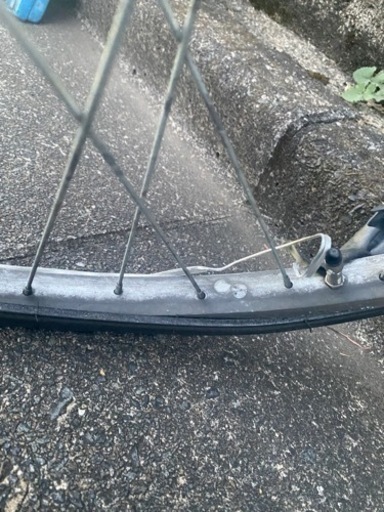 電動アシスタント自転車 EVAプラス
