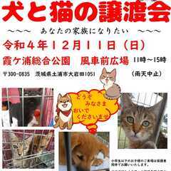 犬と猫の譲渡会～～あなたの家族になりたい～～