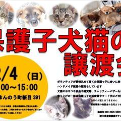 12/4💠譲渡会を開催します💠