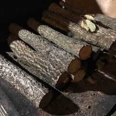 椎茸用の原木の画像