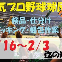 1/16～2/3迄の短期！プロ野球球団グッズの仕分け作業(*´▽...