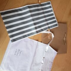 ギフト向け　紙袋1枚・不織布巾着袋2枚