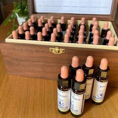 【12月4日～12月15日】自分らしく輝くためのフラワーエッセン...
