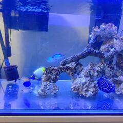 90センチ水槽セット