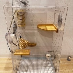 GEXアクリルケージ　持ち運びケージ　その他もろもろ