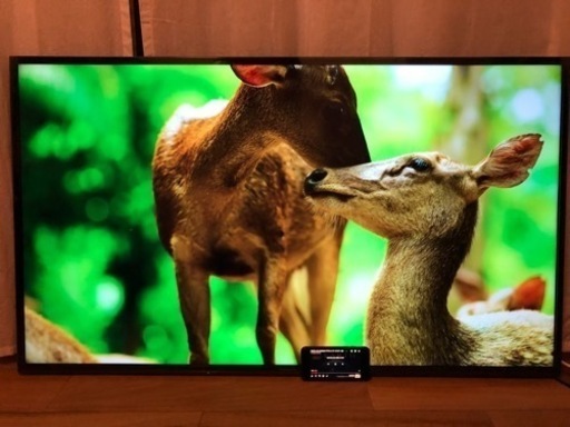 ビエラ　49インチ　液晶テレビ
