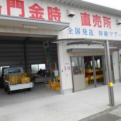 鳴門国道11号沿い貸土地倉庫付き