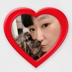 犬友募集です