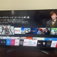55型 4Kチューナー内蔵 液晶 LGテレビ IPS パネル 2...
