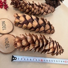 クリスマス　リース　素材の画像