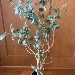 人工観葉植物お譲り致します😊の画像