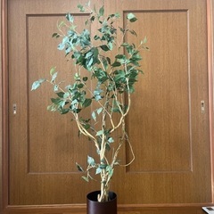 人工観葉植物お譲り致します😊