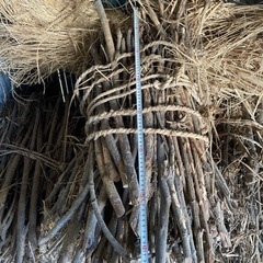 薪　古木材　の画像