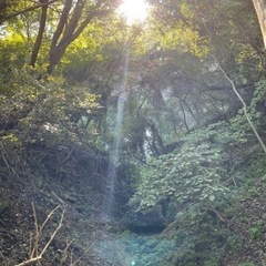 東京周辺日帰り登山（ハイキング）友達募集