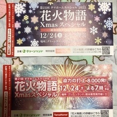 【値下げ】グリーランド　花火物語　クリスマススペシャル　ペアチケ...