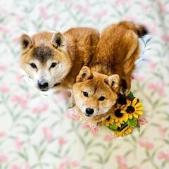 本日8月13日 カラオケ🎤します！