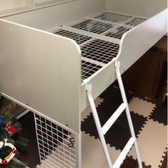 ロフトベットの画像