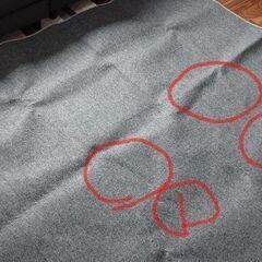 （決まりました）★500円（ワンコイン）ホットカーペット 2畳用 グレーの画像