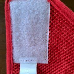 犬用ハーネス、リードの画像