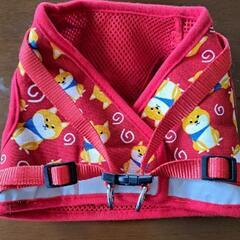 犬用ハーネス、リードの画像