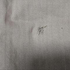 45 パンツ ウエスト64　★の画像