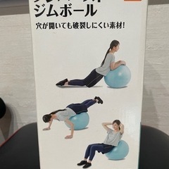 DCM バランスボール ヨガボール ナイスリサイクル札幌店の画像