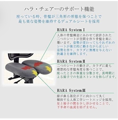 【大幅値下げ】Hara Chair ハラチェア ニーチェ 《標準モデル》グレー　腰痛対策